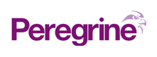 Peregrine peregrine