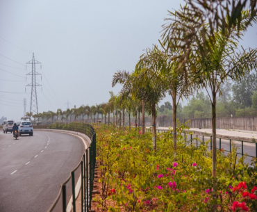 Beautifully landscaped divider with flowering plants